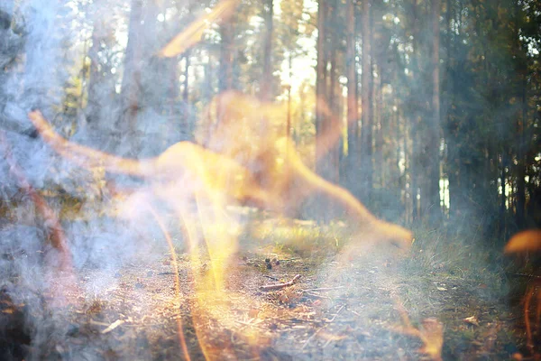 Abstracta Llama Fuego Paisaje Bosque Fondo Incendios Forestales Desastre Ecológico — Foto de Stock