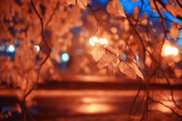 Nacht Het Park Landschap Abstract Uitzicht Steeg Bomen Lichten Herfst — Stockfoto