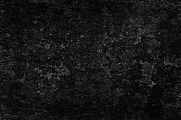 Cinza Grunge Concreto Parede Branco Abstrato Projeto Arte Fundo — Fotografia de Stock