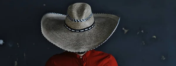 man in a hat with straw brim, hides his face, incognito guy, abstract country music style america west