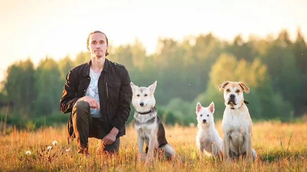 Tres perros y un hombre sentado en el campo — Foto de Stock