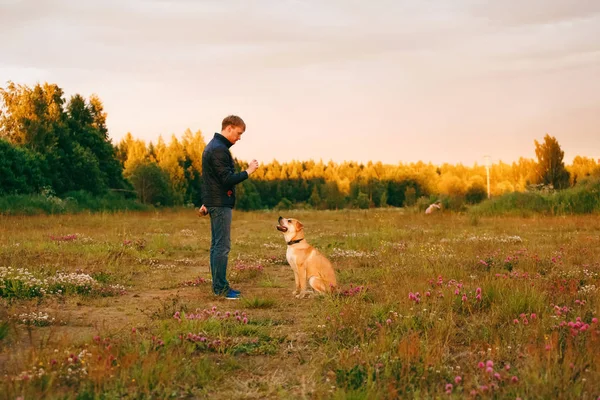 Человек тренирует собаку — стоковое фото