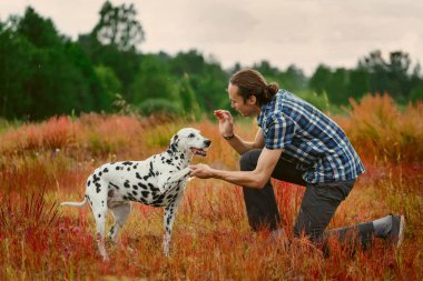 Sahada köpek ile sahibi