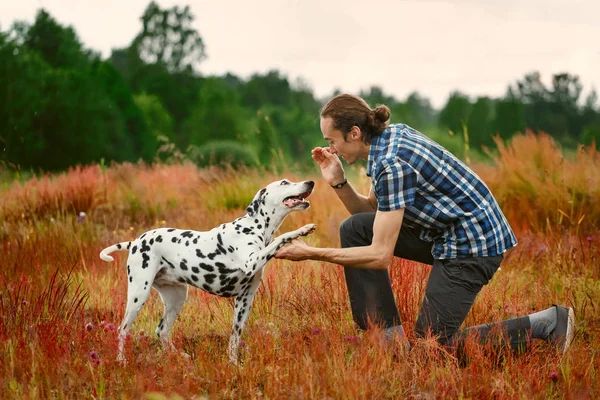 Владелец с собакой на поле — стоковое фото