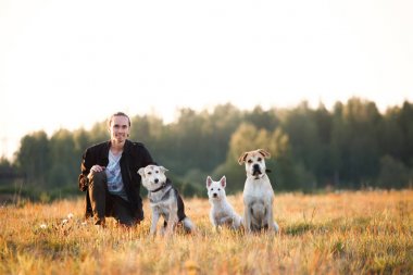Üç köpek ve sahada oturan bir adam