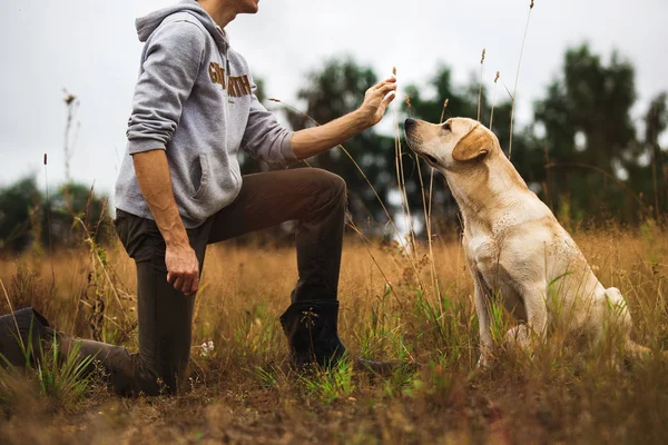 Crop man with dog in fall field