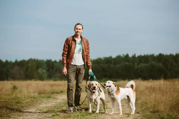 Propietario con perros en el campo — Foto de Stock