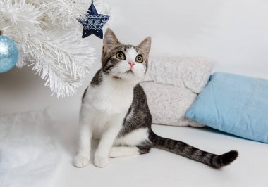 Yeni yıl ağacın altında oturup şirin yavru kedi
