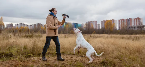 Homme dressant chien sur pelouse — Photo