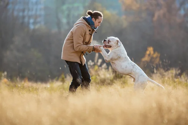 Mann trainiert Hund auf Rasen — Stockfoto