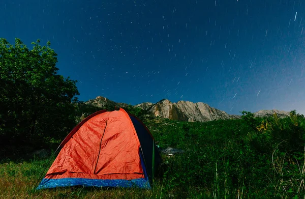 텐트, 나무, 산 및 별 밤 보기 — 스톡 사진