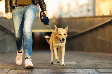 Metro istasyonunun girişinde köpeği olan genç bir kadın var.