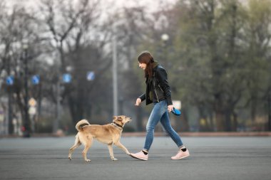 Gün doğumunda meydanda bir kadın köpekle eğleniyor.