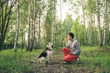 Genç adam ormanda köpeğe pençe atmayı öğretiyor. 