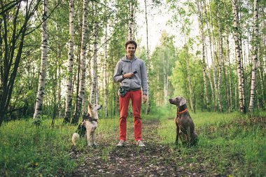 Yeşil ormanda yürüyen köpeklerin erkek efendisi 