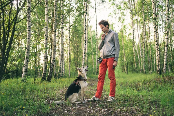 Junger Mann lehrt Hund Pfote im Wald zu geben — Stockfoto