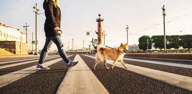 Shiba Inu 'nun kırsal kesiminde bir kadın.