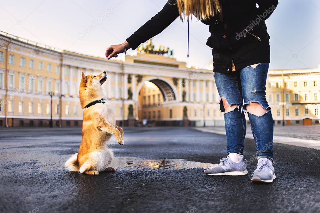 Crop owner feeding Cute dog on historic square in city