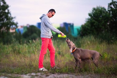 Ormanda köpekle gezen genç adam