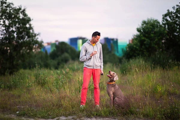 Mann steht mit Hund auf Land im Grünen — Stockfoto