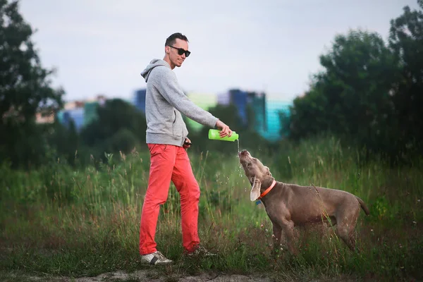 Ormanda köpekle gezen genç adam — Stok fotoğraf