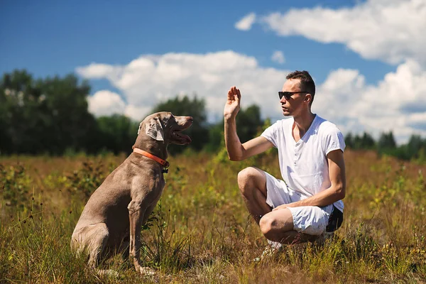 Man training dog in rural field in summer day — Stock Photo, Image