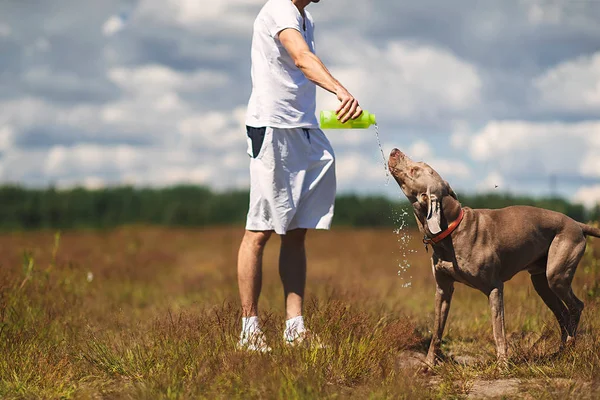 Kesik Adam yürürken köpeğe su veriyor. — Stok fotoğraf