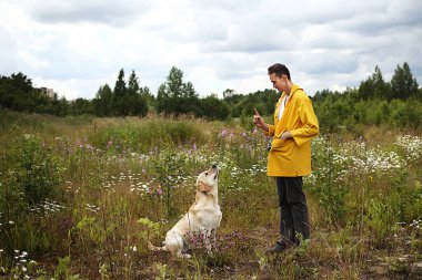 İtaatkar Labrador Retriever köpeğini eğiten ve bulutlu yaz gününde yeşil çiçek çayırında temel komutları veren genç bir adamın yan görüntüsü.