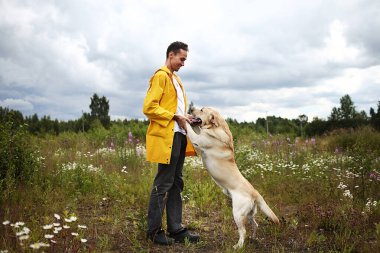 İtaatkar Labrador Retriever köpeğini eğiten ve bulutlu yaz gününde yeşil çiçek çayırında temel komutları veren genç bir adamın yan görüntüsü.