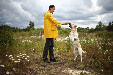 İtaatkar Labrador Retriever köpeğini eğiten ve bulutlu yaz gününde yeşil çiçek çayırında temel komutları veren genç bir adamın yan görüntüsü.