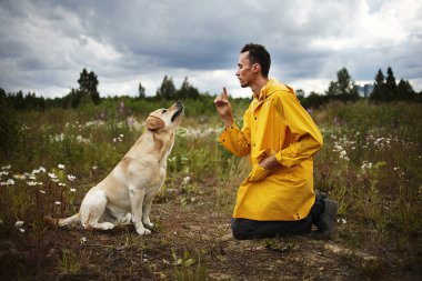 Labrador Retriever 'ın önünde diz çöküp sahada antrenman yaparken gülümseyerek gülen rahat genç bir adamın yan görüntüsü