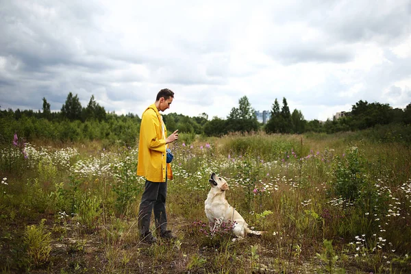 Seitenansicht Junger Mann Trainiert Gehorsamen Aufmerksamen Labrador Retriever Hund Und — Stockfoto