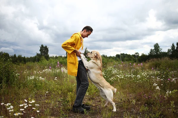 Вид Сбоку Молодого Человека Обучение Послушный Внимательный Лабрадор Ретривер Собака — стоковое фото