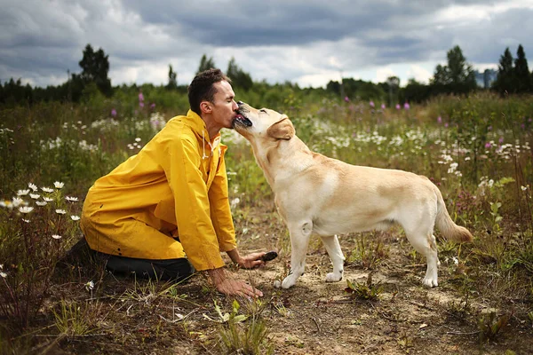 Seitenansicht Junger Mann Küsst Mit Beigem Labrador Retriever Blühender Wiese — Stockfoto