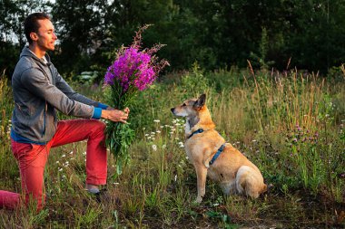 Sıradan giysiler içinde tam bir vücut adamı. İtaatkar köpeğe bir demet çiçek verirken kırsal kesimdeki çimenlik arazide duruyor.