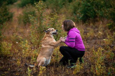 Parlak kapüşonlu bir kadının itaatkar bir köpeği eğitirken doğada yeşil bir alanda vakit geçirmesinin yan görüntüsü.