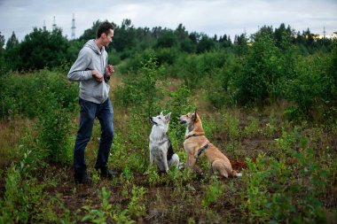 Mutlu erkek, doğadaki yeşil çalıların arasında itaat eden köpeklere atıştırmalık veriyor.