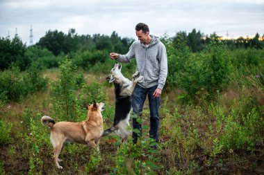 Günbatımında doğada vakit geçirirken, güler yüzlü, günlük kıyafetli itaatkar köpekleri eğiten adam.