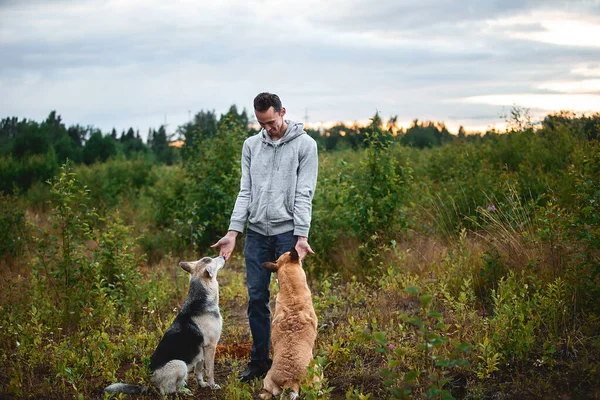 Günbatımında Doğada Vakit Geçirirken Güler Yüzlü Günlük Kıyafetli Itaatkar Köpekleri — Stok fotoğraf