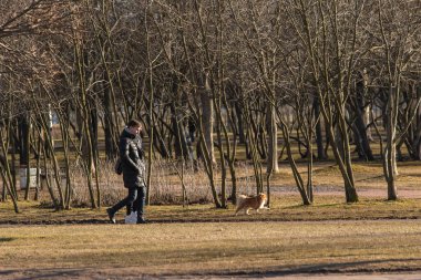 Saint-petersburg, Rusya - 4 Nisan 2020: Pomeranian spitzl köpeğiyle boş parkta yürüyen erkek ve kadın manzarası. Coronavirüs COVID-19 salgını yüzünden insanlar evde kalıyor..