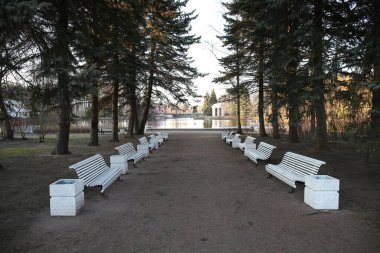 Park 'ta göle bakan ıssız bir bankta yan görünüş. Parktaki hiç kimse ülkede Quqrantine yaratmaz. Kendi kendini izole etme zamanı