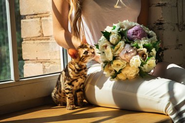 Bengal kedisi dişi mahsul bacaklarının üzerinde oturuyor ve güneşli bir günde evin penceresinin yanında bir buket çiçekle oynuyor.