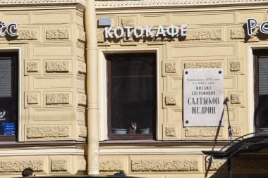 Saint-Petersburg, Rusya - Mayıs 120: Pencerenin dışında oturan kediler. Binadaki yazı, Cat Cafe. Şehrin koronavirüs yüzünden kendini izole etme rejimi var.