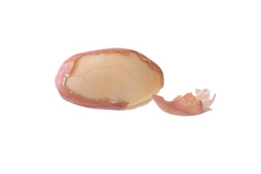 Beyaz bir arka plan üzerinde Studio fıstık izole çekim