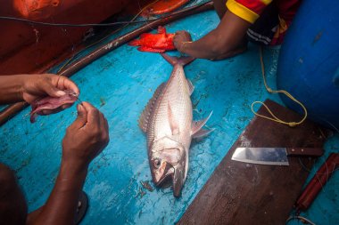 balıkçı o paslı iş varken Balık tutma için kanca yem yapıyor