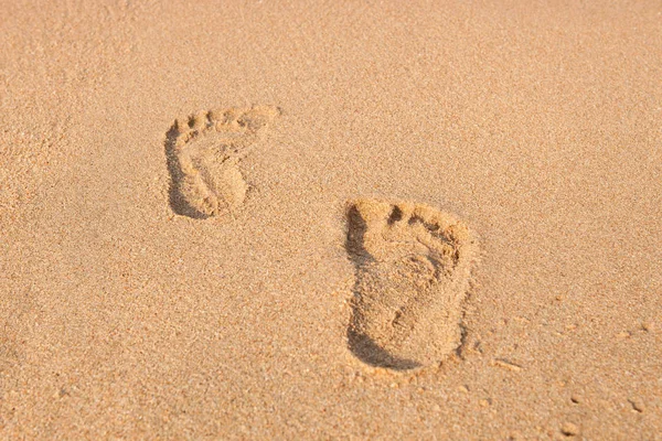 Sello de pies en la arena en la playa con sol en la mañana — Foto de Stock