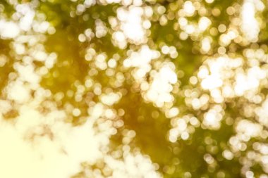 Bokeh arka plan ağaç vintage renk stili ile.