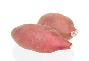 Japon tatlı patatesi beyaz arka planda izole edilmiş.