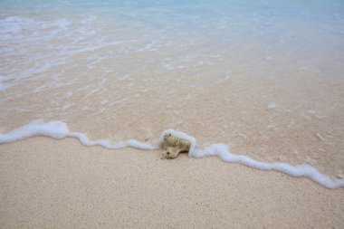 Mercan yumuşak dalgalar ve plaj dalgalar ile kum plajındaki arka plan.