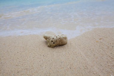 Mercan yumuşak dalgalar ve plaj dalgalar ile kum plajındaki arka plan.